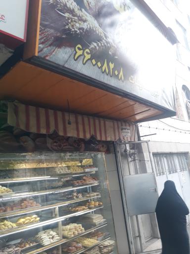 عکس نان فانتزی شادمهر