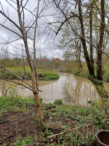 عکس باغ رستوران شاندیز