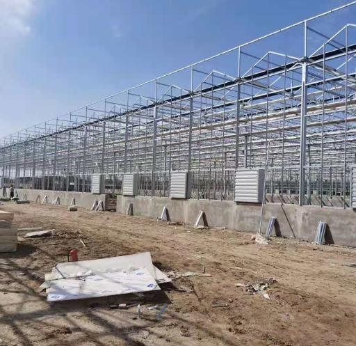 عکس گلخانه گل افروز