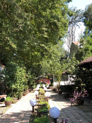 عکس باغ رستوران شاندیز