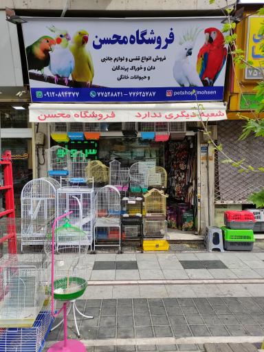 عکس پت شاپ محسن