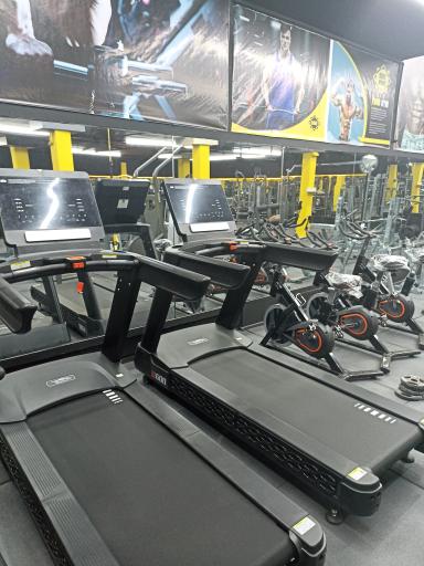 عکس باشگاه بدنسازی UMG