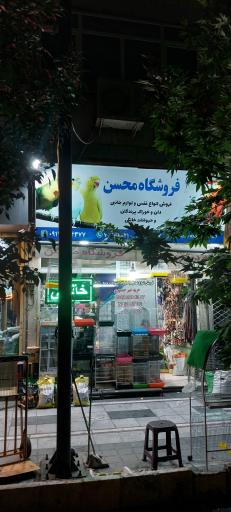 عکس پت شاپ محسن