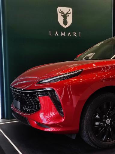 عکس نمایندگی لاماری آذرخشی کد(5401)