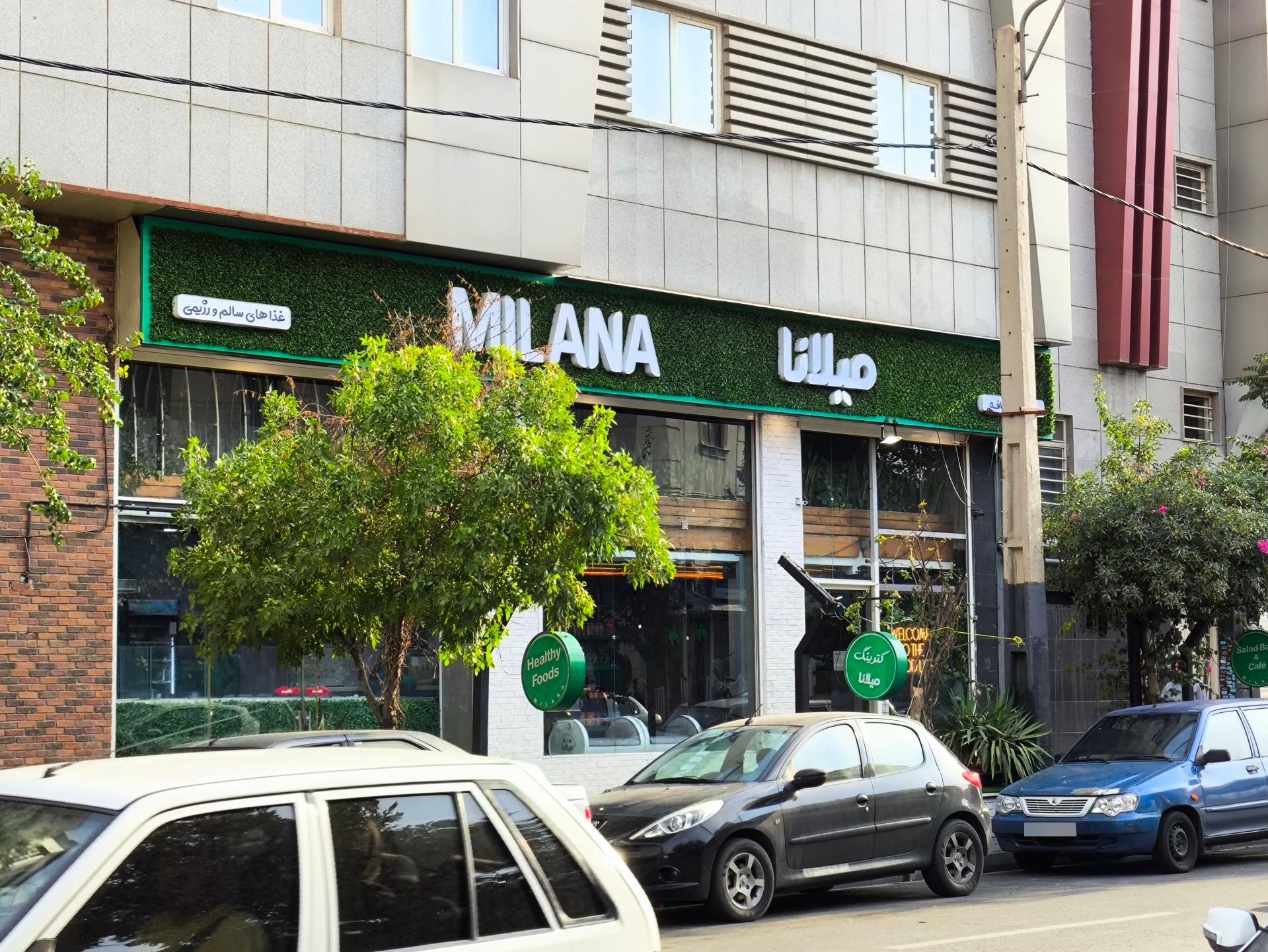 عکس غذای رژیمی میلانا