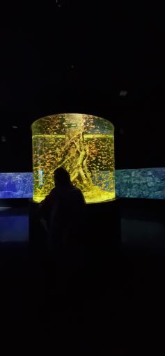 عکس پارک ناژون