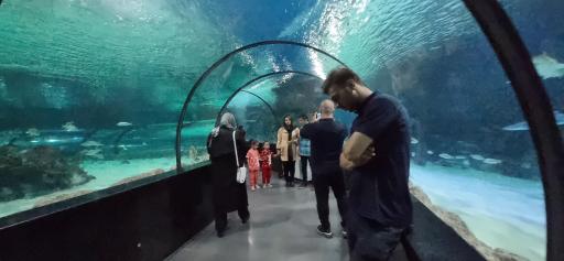 عکس پارک ناژون