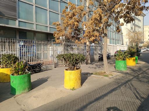 عکس استخر دانشگاه شریف تهران