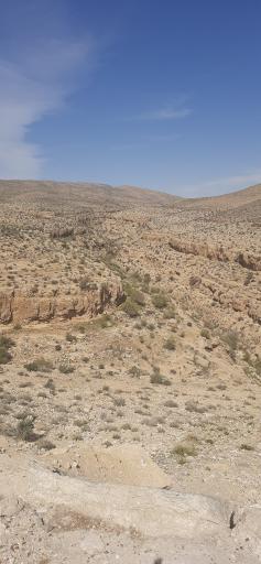 عکس زاهدشهر