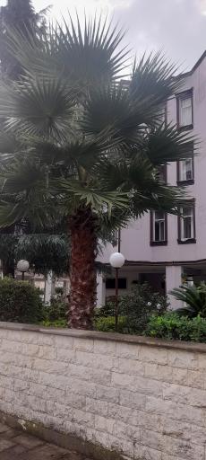 عکس ساختمان های تامین اجتماعی نمک ابرود