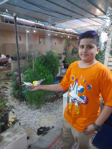 عکس باغچه ریحون