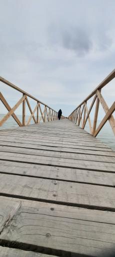ساحل بندر گز