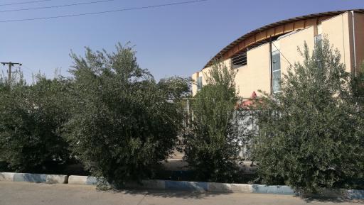 عکس ورزشگاه انقلاب