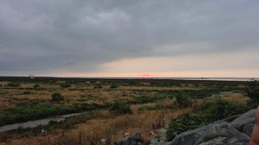 عکس ساحل بندر گز