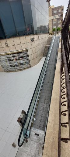 عکس پیتزا صفا