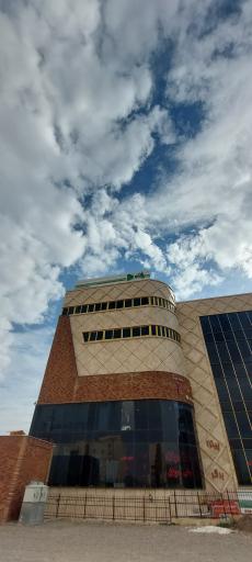 عکس پیتزا صفا