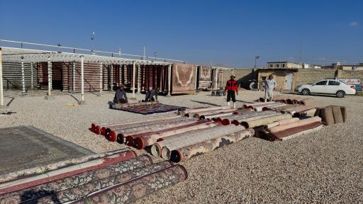 عکس قالیشویی آریا یعقوبی