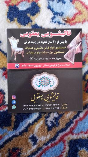 عکس قالیشویی آریا یعقوبی