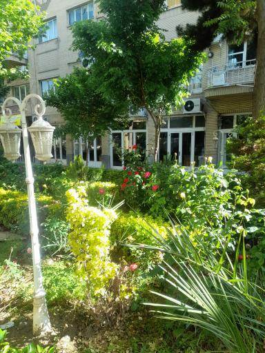 عکس سرای امیرکبیر