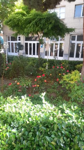 عکس سرای امیرکبیر