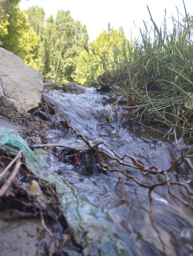 عکس مجموعه تفریحی اقامتی باغ بهادران