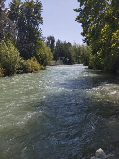 عکس مجموعه تفریحی اقامتی باغ بهادران