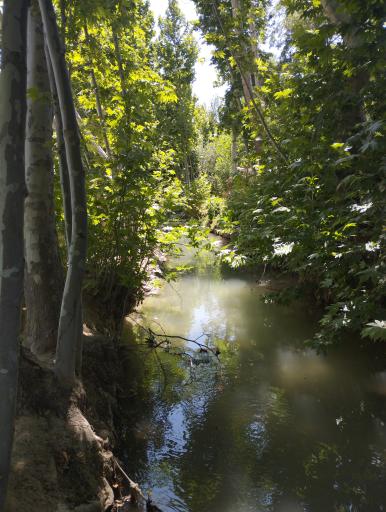 عکس مجموعه تفریحی اقامتی باغ بهادران