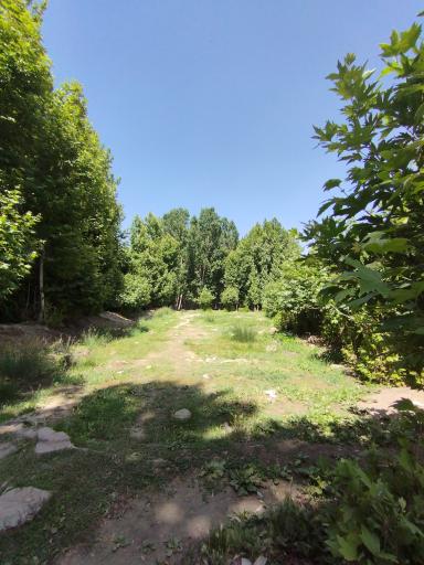 عکس مجموعه تفریحی اقامتی باغ بهادران