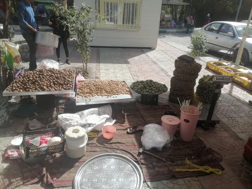 عکس مجموعه تفریحی اقامتی باغ بهادران