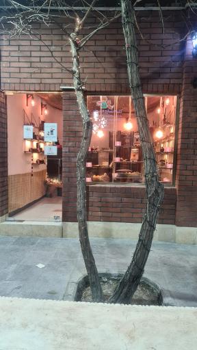 عکس کلبه شازده کوچولو 