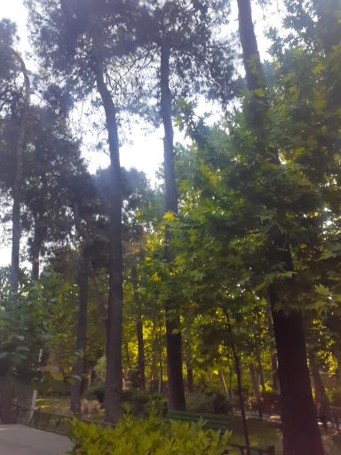 عکس بوستان شهرزاد