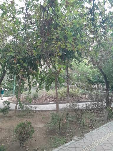 عکس بوستان شهرزاد