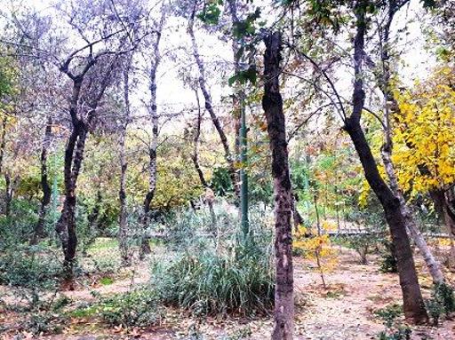 عکس بوستان شهرزاد