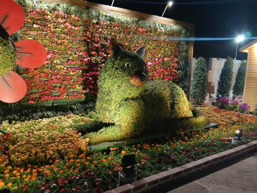 عکس بوستان برکت