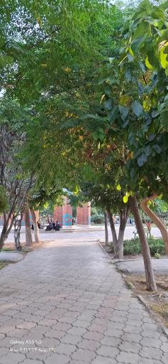 عکس بوستان استاد شهریار