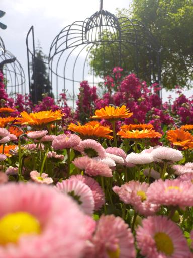 عکس بوستان برکت