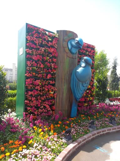 عکس بوستان برکت