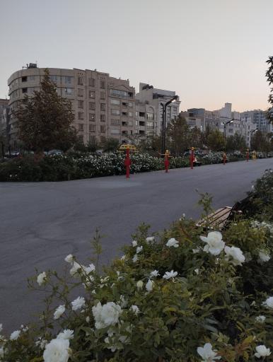 عکس بوستان برکت