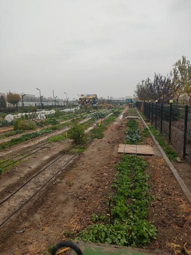 عکس بوستان برکت