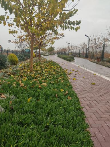 عکس بوستان برکت (رود پارک)