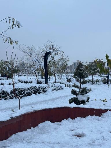 عکس بوستان برکت (رود پارک)