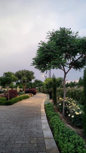 عکس بوستان برکت