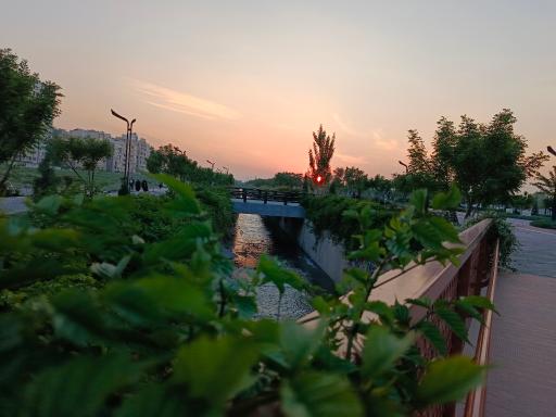 بوستان برکت