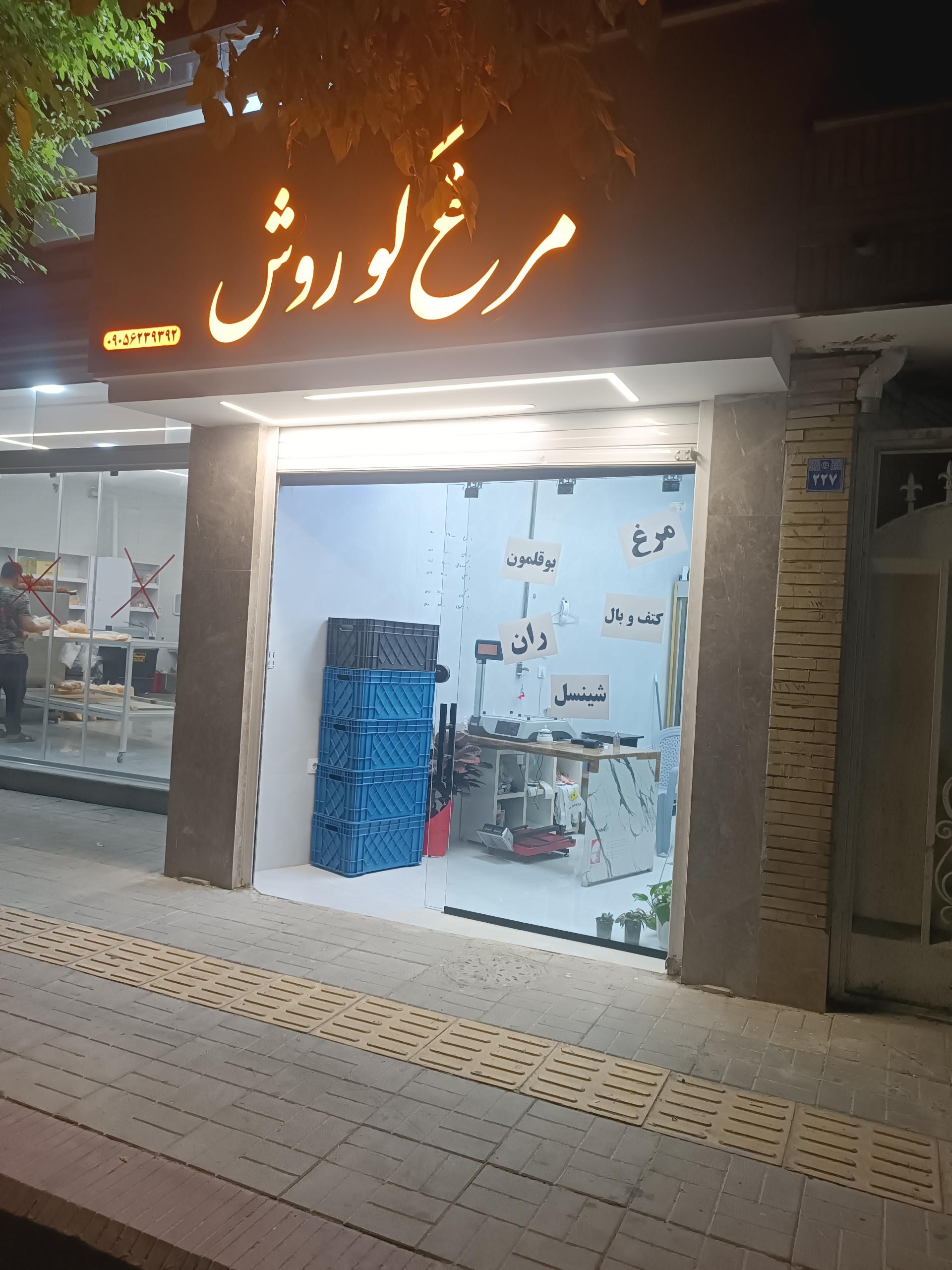 عکس مرغ کوروش