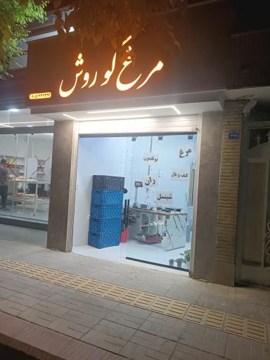 عکس مرغ کوروش