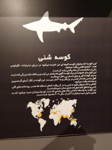 عکس آکواریوم کاسپین 