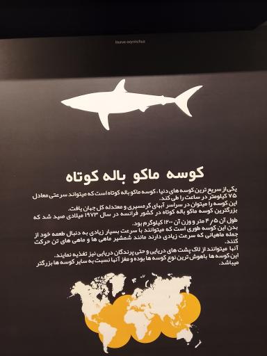 عکس آکواریوم کاسپین 