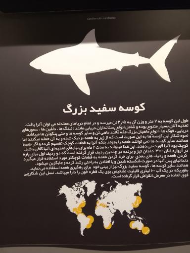 عکس آکواریوم کاسپین 