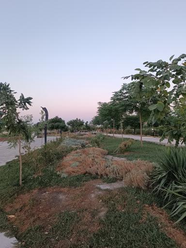 عکس بوستان برکت