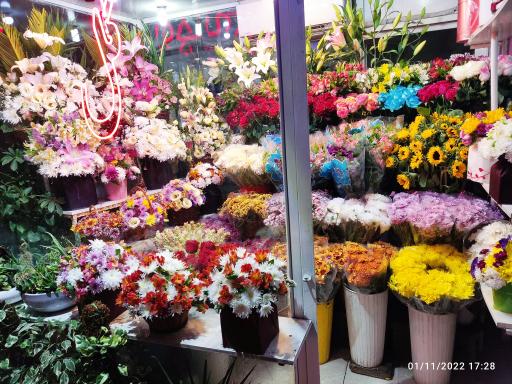 عکس آقای  گل هدایت  دروس